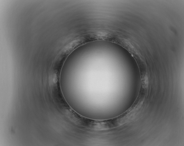 X0000113210472200909171538