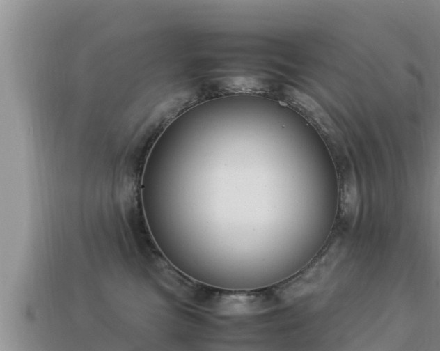 X0000113210473200909171538