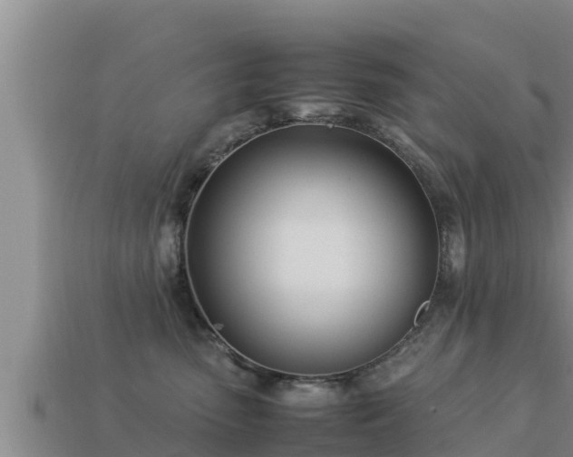 X0000113210475200909171538