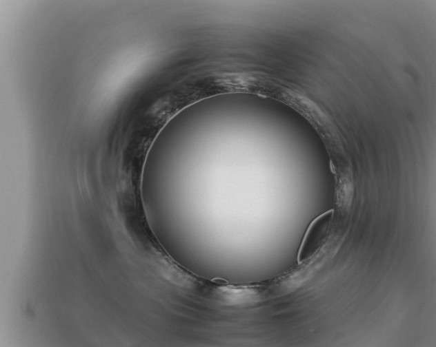 X0000113210477200909171538