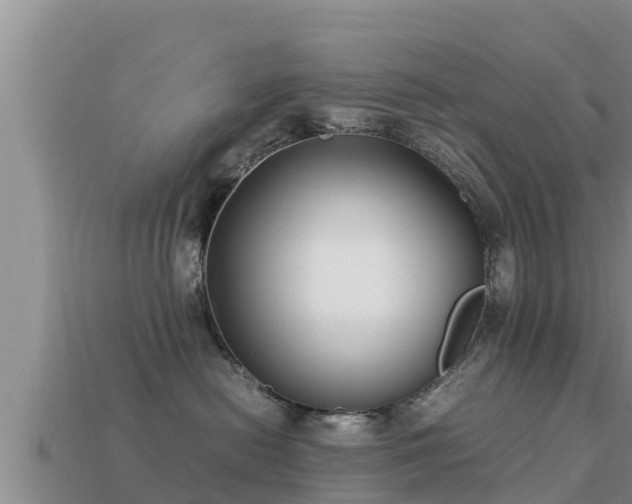 X0000113210478200909171538