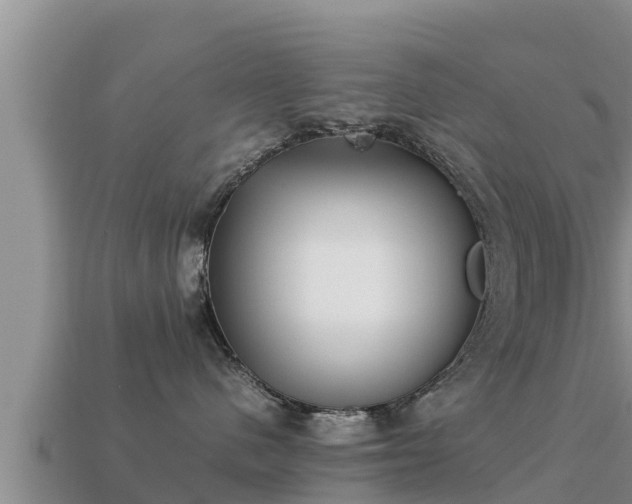 X0000113210480200909171538