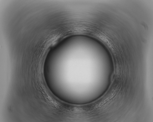 X0000113210481200909171538