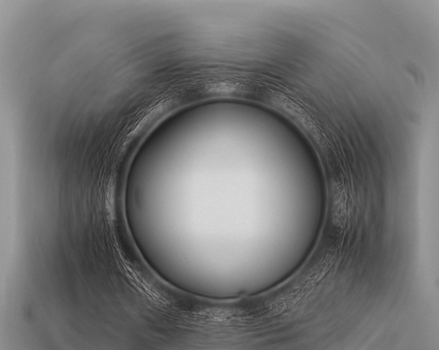 X0000113210482200909171538