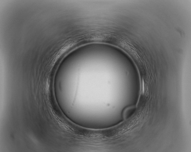 X0000113210483200909171537