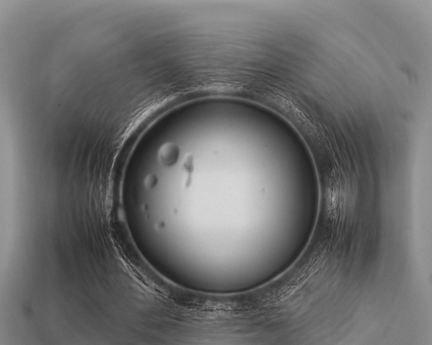 X0000113210484200909171537