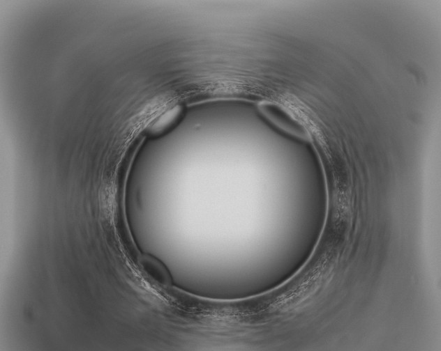 X0000113210485200909171537