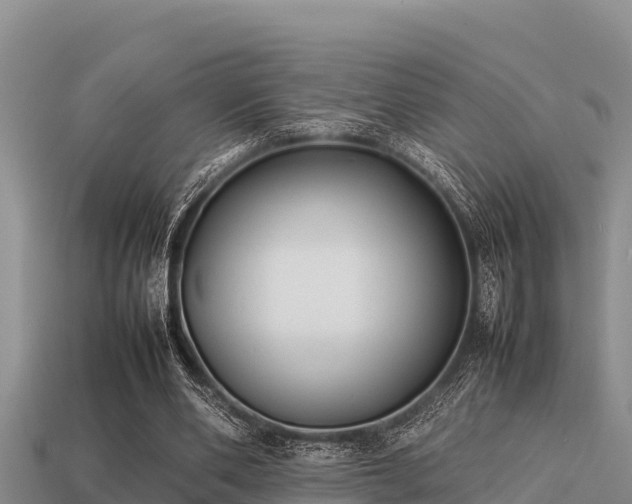 X0000113210486200909171537