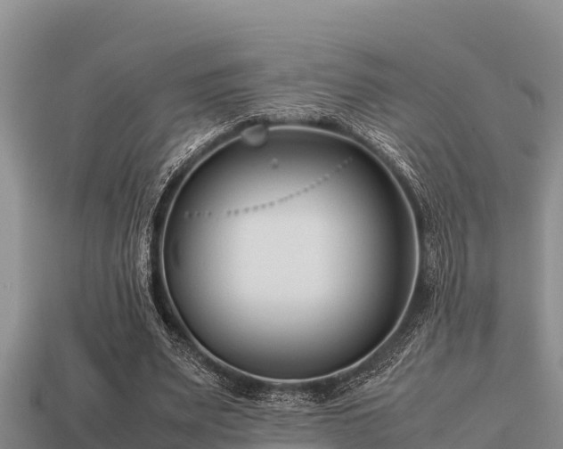 X0000113210487200909171537