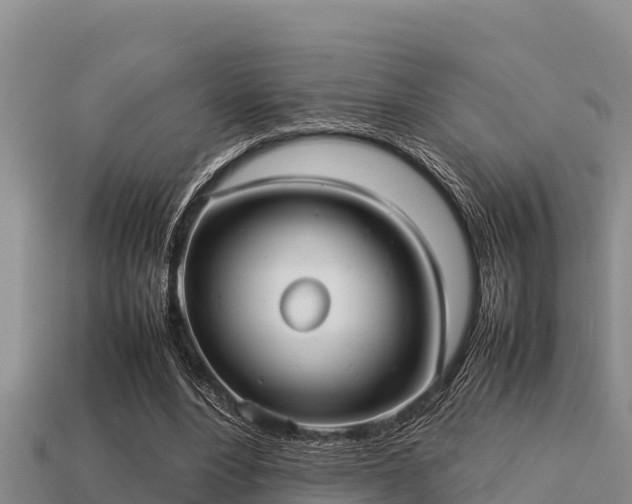 X0000113210488200909171537