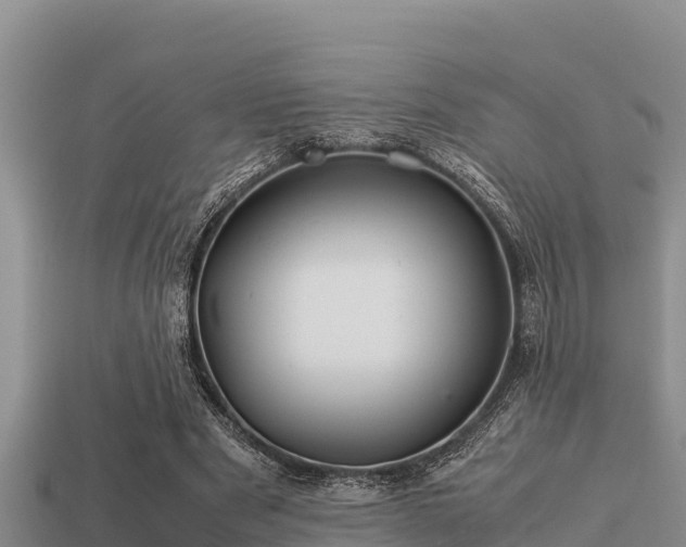 X0000113210489200909171537