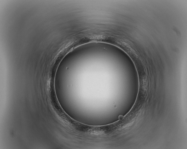 X0000113210491200909171537