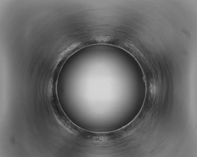 X0000113210492200909171537