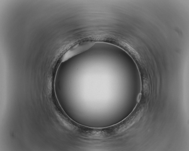 X0000113210493200909171537