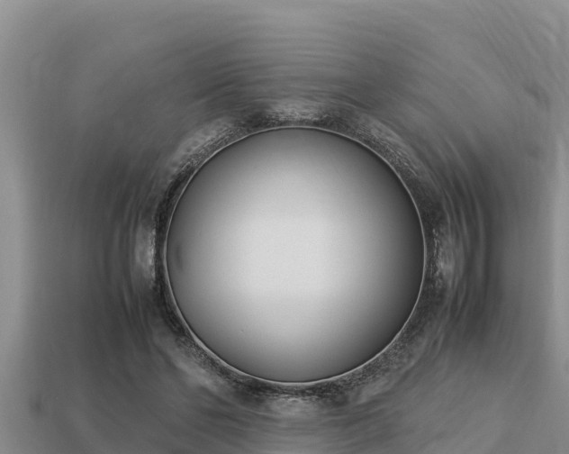 X0000113210494200909171537