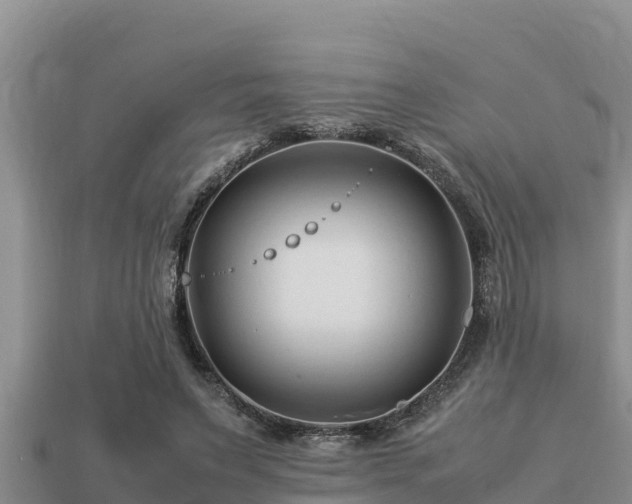 X0000113210495200909171537