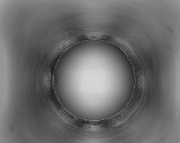 X0000113210498200909171537