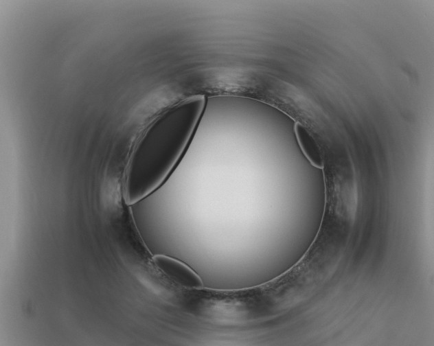 X0000113210500200909171537