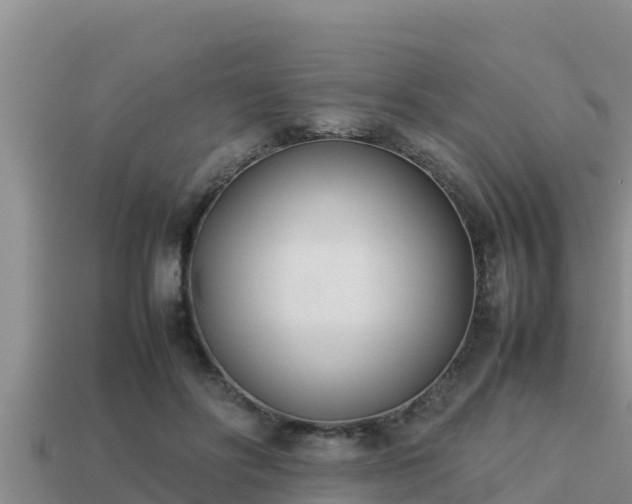 X0000113210502200909171537