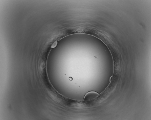 X0000113210503200909171537