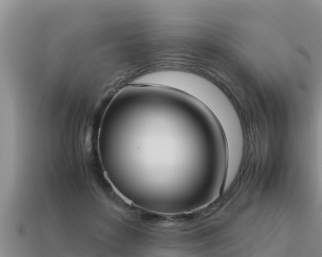 X0000113210504200909171537