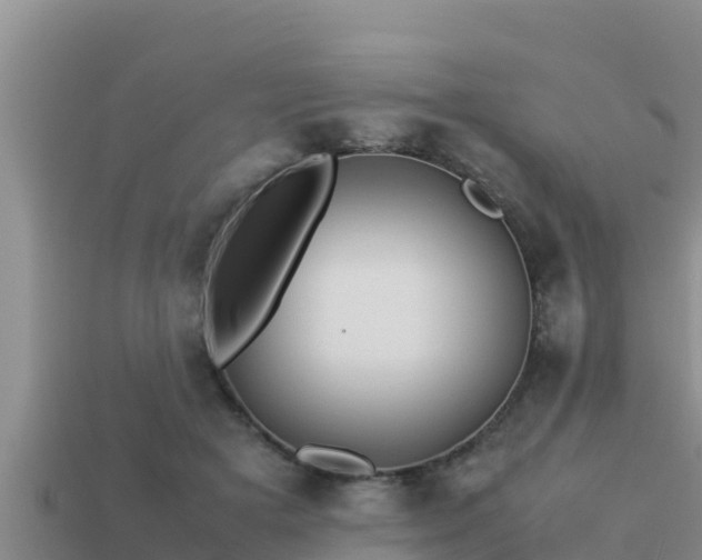 X0000113210505200909171537