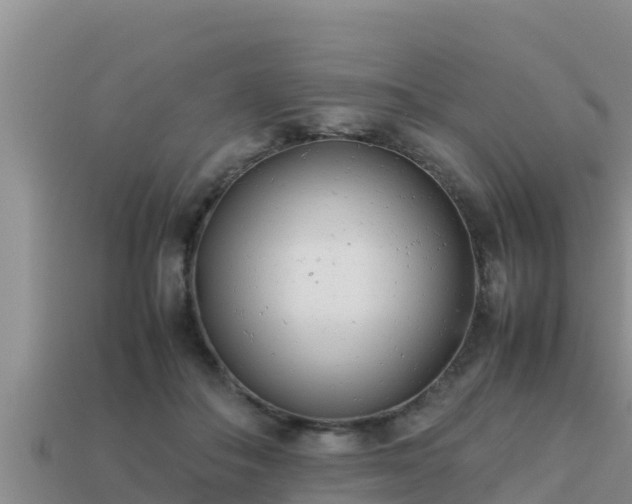 X0000113210506200909171537