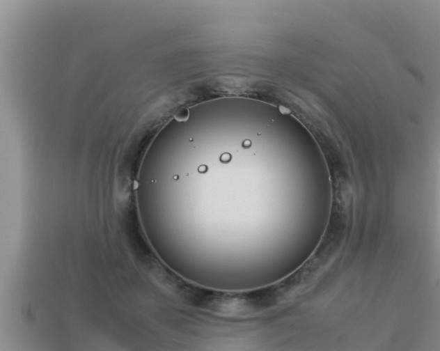 X0000113210507200909171537