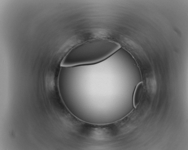 X0000113210508200909171537