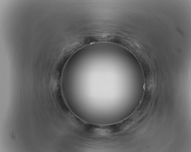 X0000113210515200909171537