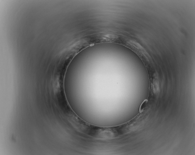 X0000113210520200909171537