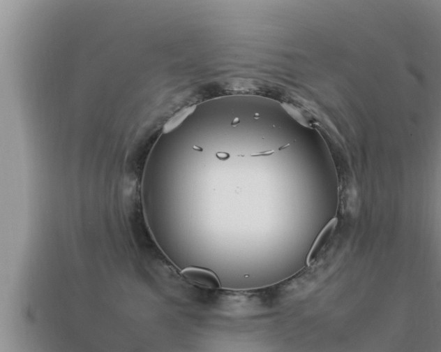 X0000113210521200909171537