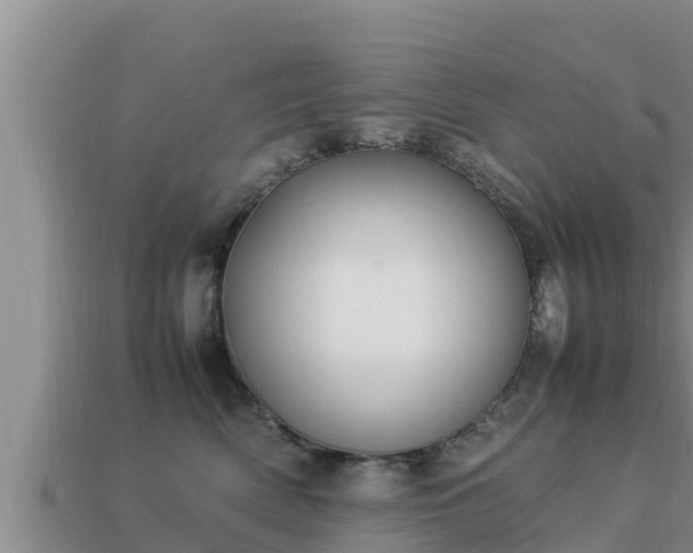 X0000113210522200909171537