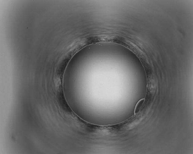 X0000113210523200909171537