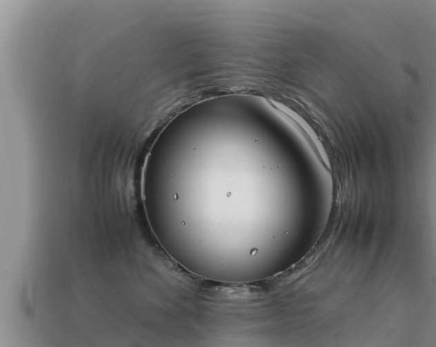 X0000113210524200909171537