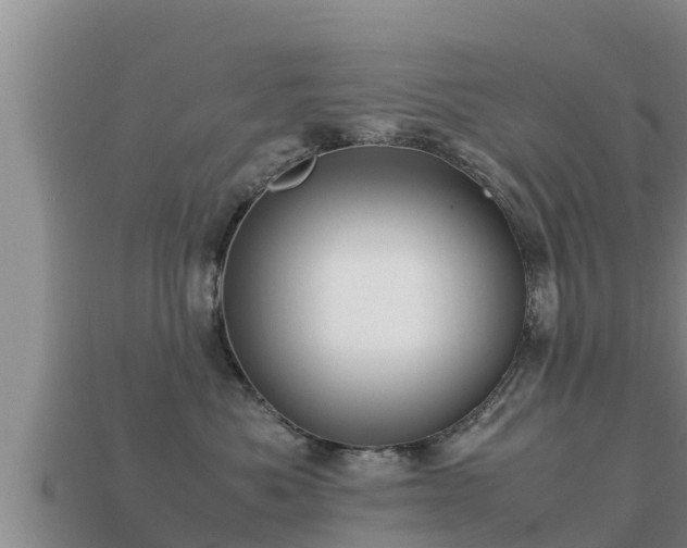 X0000113210525200909171537