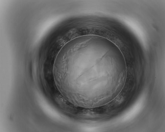 X0000113210526200909171537