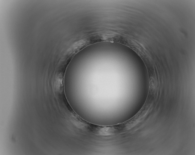 X0000113210527200909171537