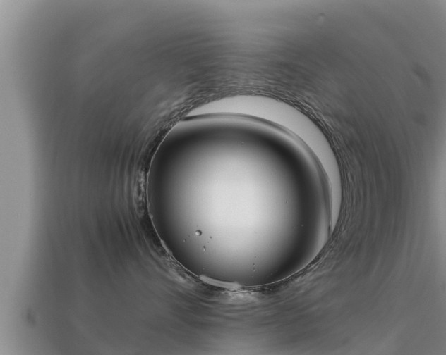 X0000113210528200909171537