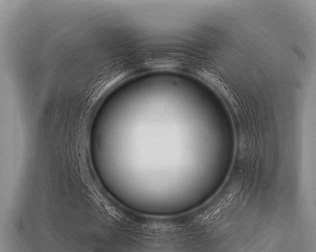 X0000113210529200909171536