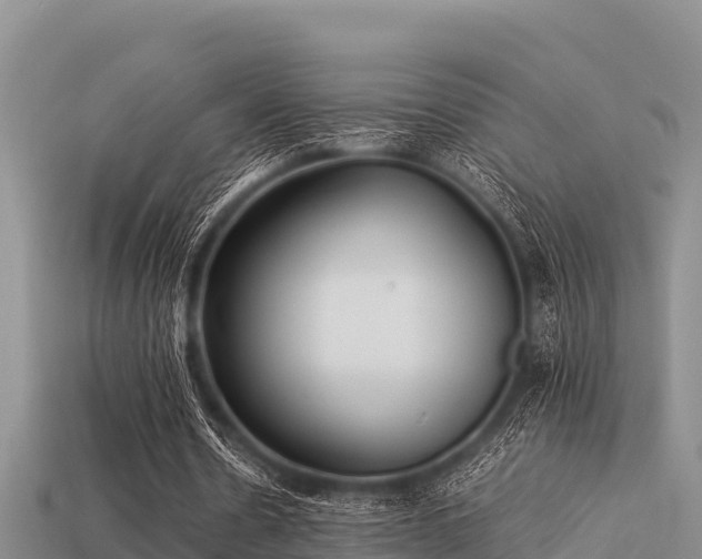 X0000113210530200909171536