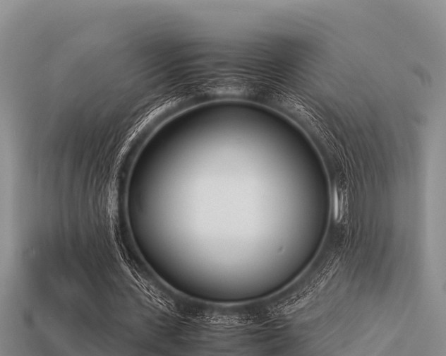 X0000113210531200909171536