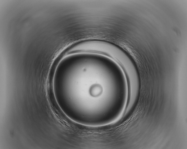 X0000113210532200909171536