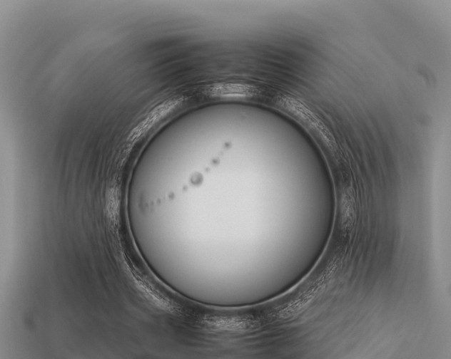 X0000113210533200909171536