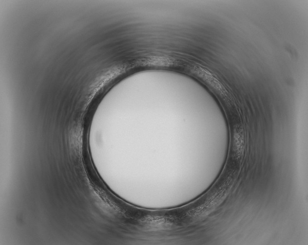 X0000113210534200909171536