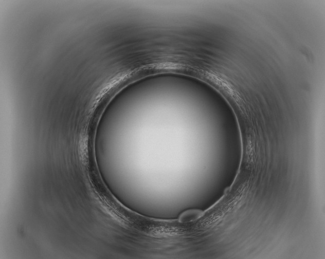 X0000113210535200909171536