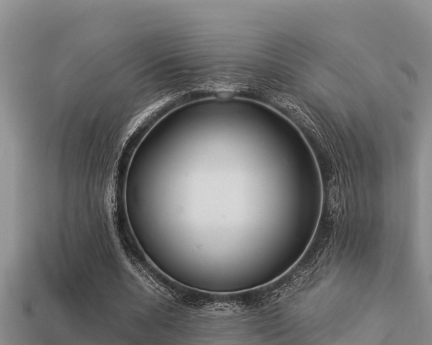 X0000113210536200909171536