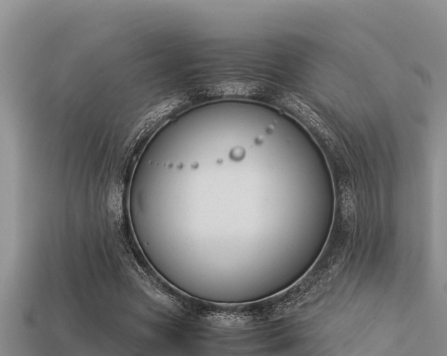 X0000113210537200909171536