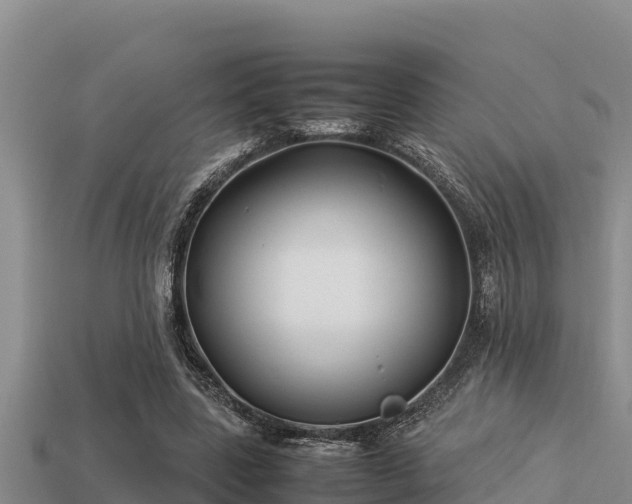 X0000113210539200909171536