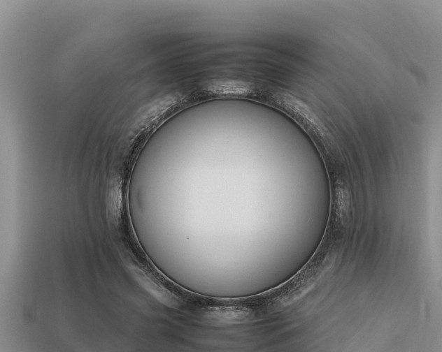 X0000113210541200909171536